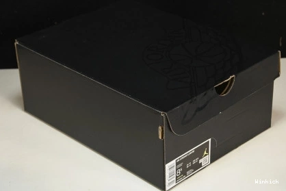 1 Low Concord Jordan DV1309-100 SE 0911